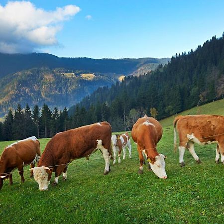Tourist Farm Kladje Villa Ljubno Kültér fotó