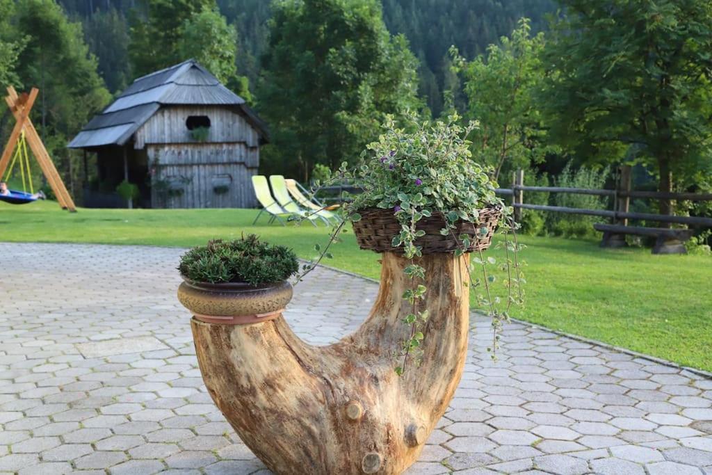 Tourist Farm Kladje Villa Ljubno Kültér fotó