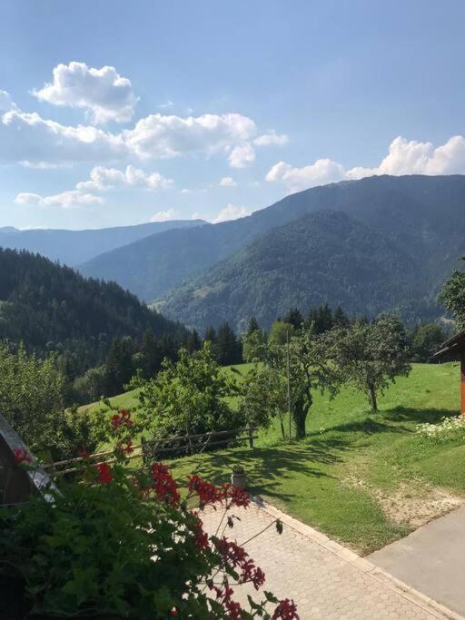 Tourist Farm Kladje Villa Ljubno Kültér fotó