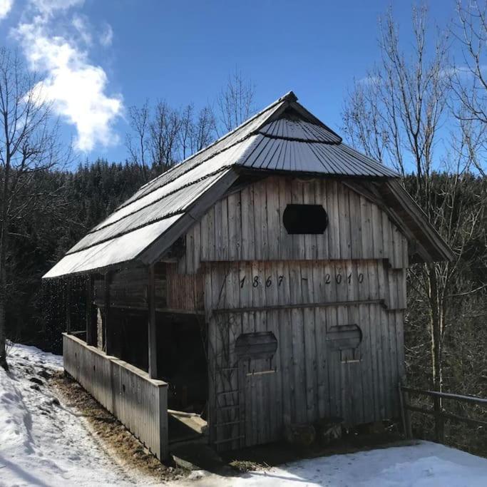 Tourist Farm Kladje Villa Ljubno Kültér fotó