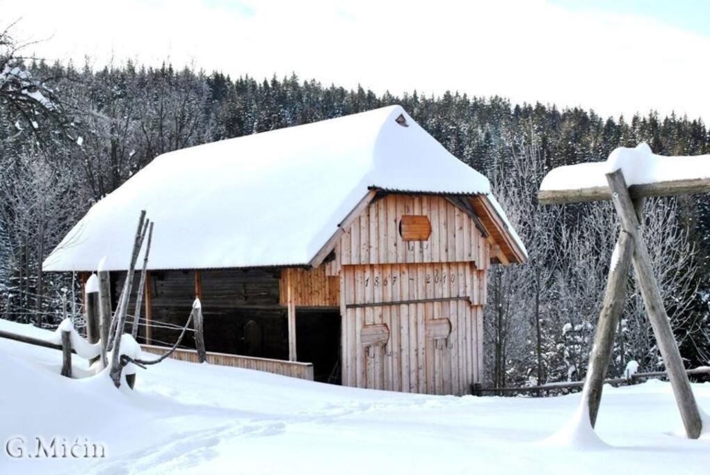 Tourist Farm Kladje Villa Ljubno Kültér fotó