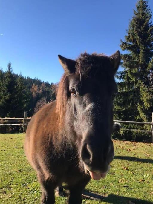 Tourist Farm Kladje Villa Ljubno Kültér fotó