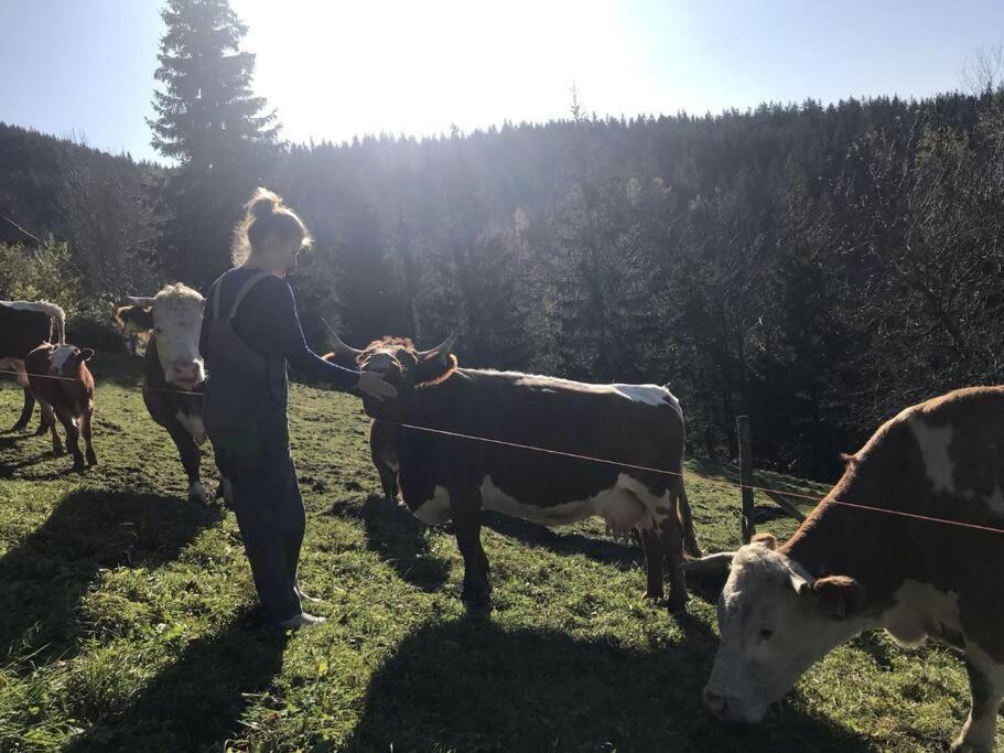 Tourist Farm Kladje Villa Ljubno Kültér fotó