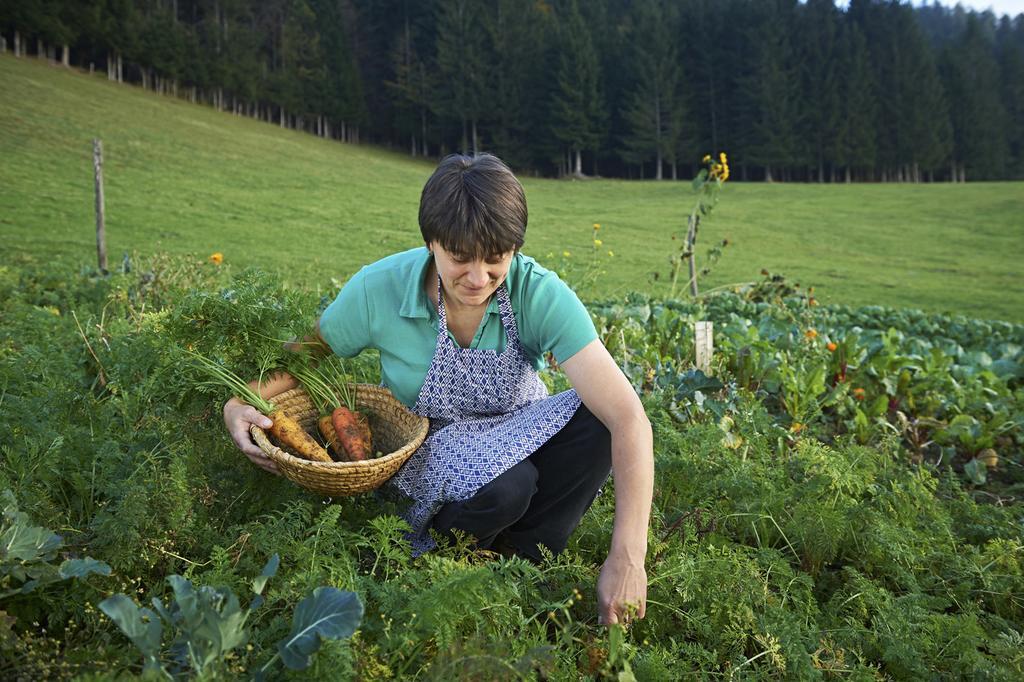 Tourist Farm Kladje Villa Ljubno Kültér fotó