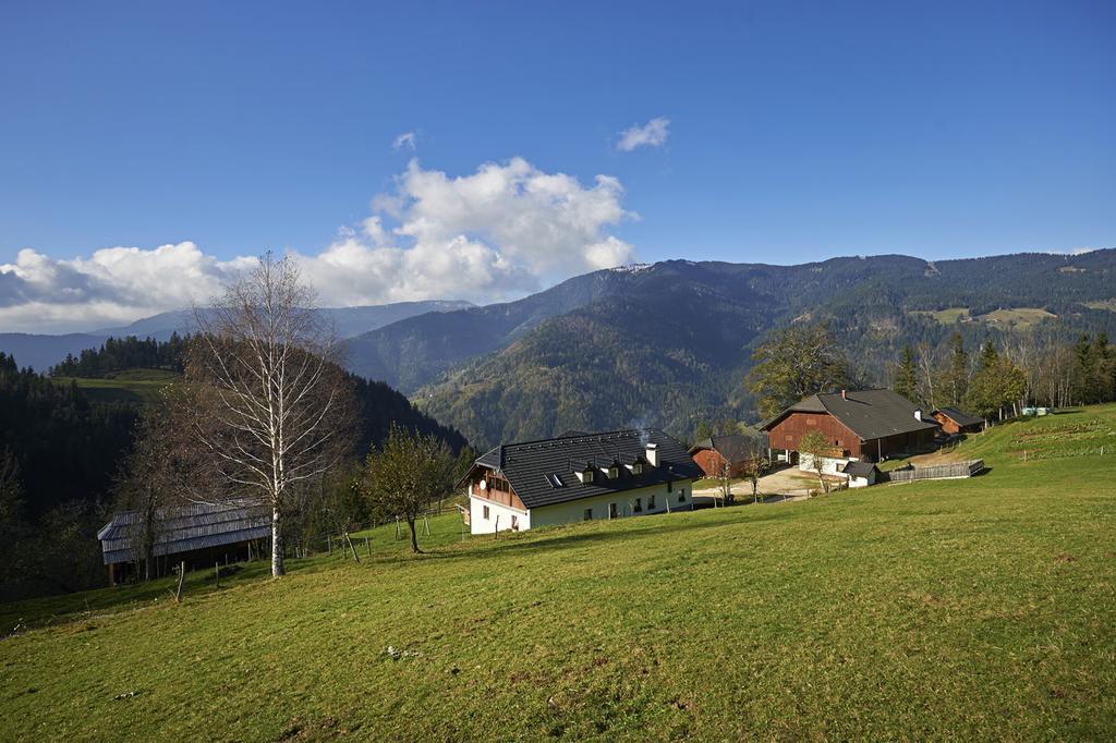 Tourist Farm Kladje Villa Ljubno Kültér fotó