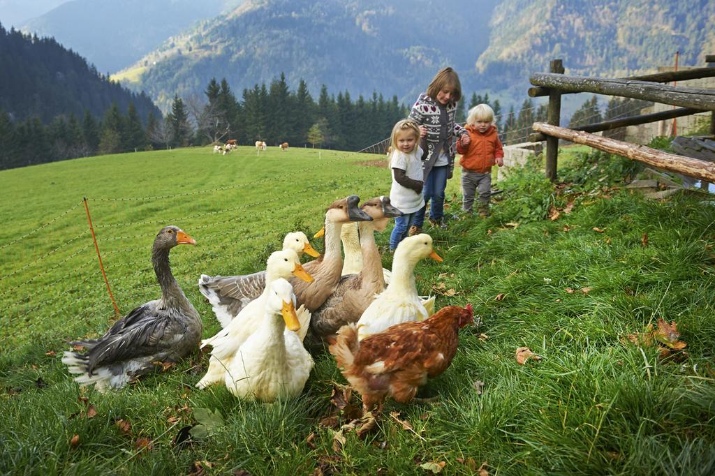 Tourist Farm Kladje Villa Ljubno Kültér fotó